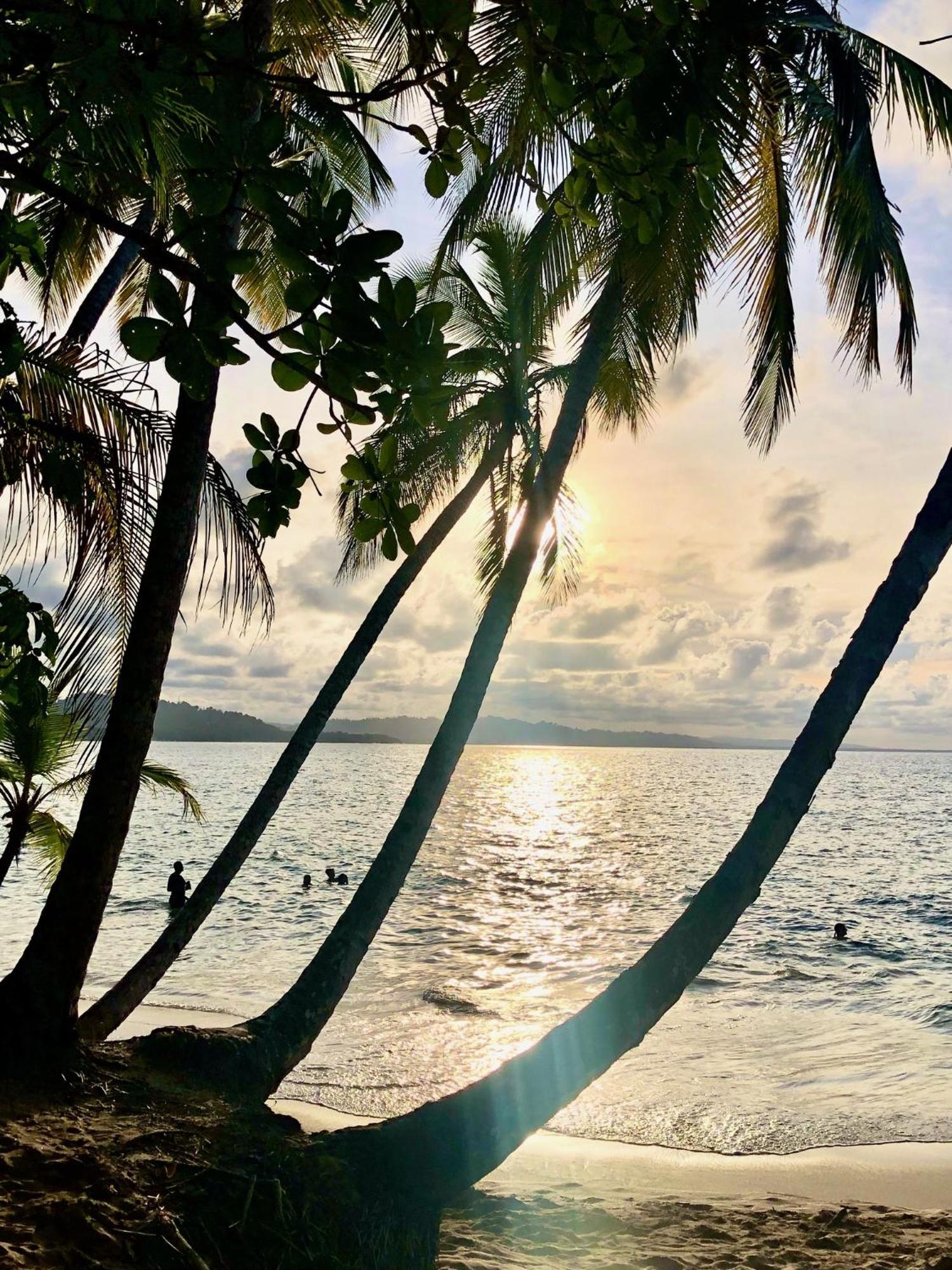 Cabinas Ole Caribe Puerto Viejo de Talamanca Dış mekan fotoğraf