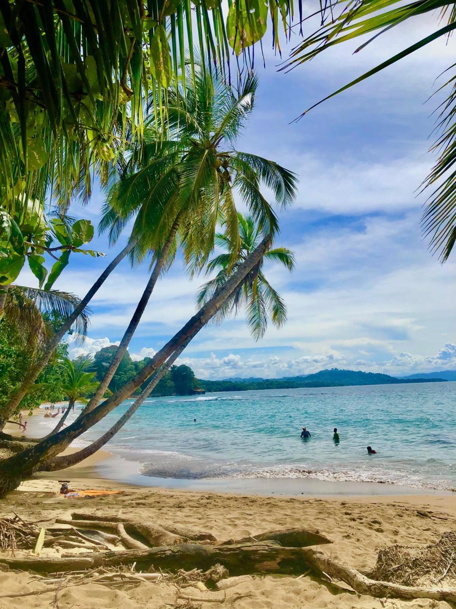 Cabinas Ole Caribe Puerto Viejo de Talamanca Dış mekan fotoğraf