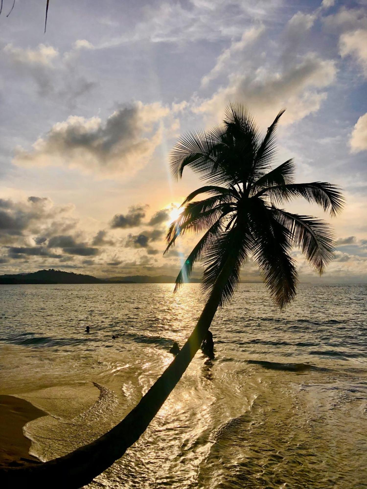 Cabinas Ole Caribe Puerto Viejo de Talamanca Dış mekan fotoğraf
