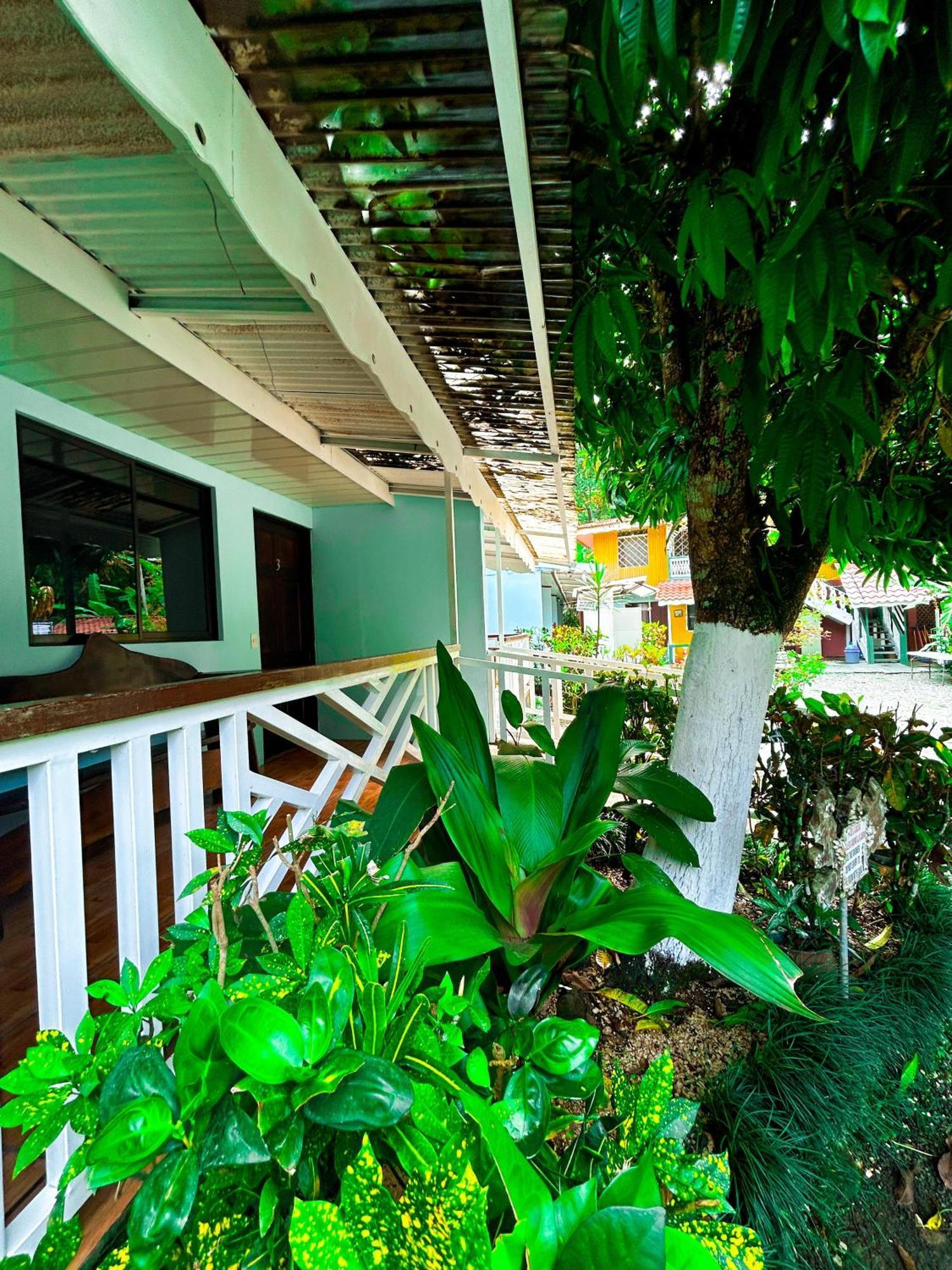 Cabinas Ole Caribe Puerto Viejo de Talamanca Dış mekan fotoğraf